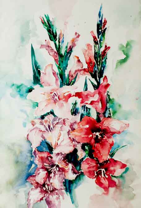 Pink and Red Gladiolus by Nataliya Tyaglo